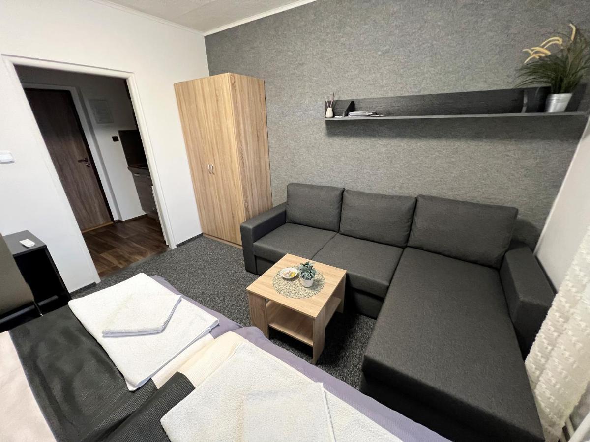 Apartmany Karlovy Vary Bagian luar foto
