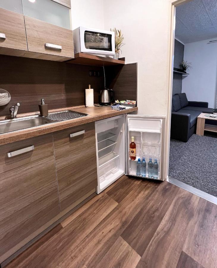 Apartmany Karlovy Vary Bagian luar foto
