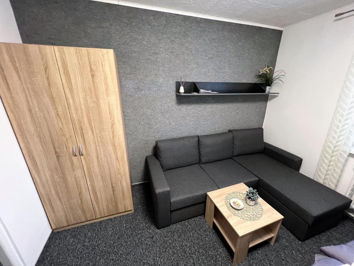 Apartmany Karlovy Vary Bagian luar foto
