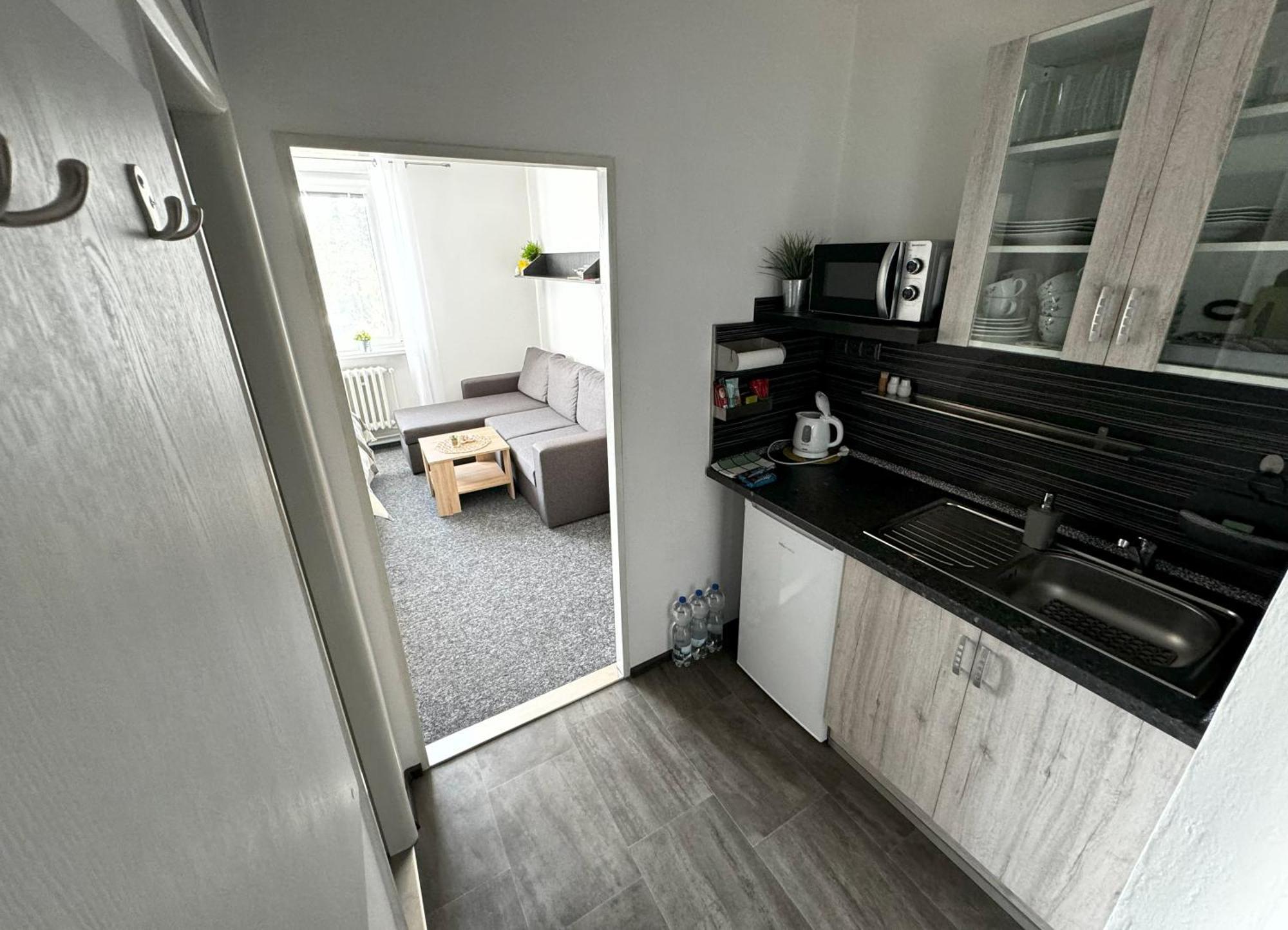 Apartmany Karlovy Vary Bagian luar foto